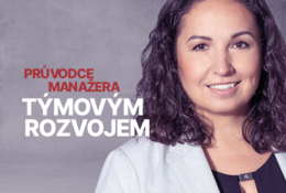 Průvodce manažera týmovým rozvojem