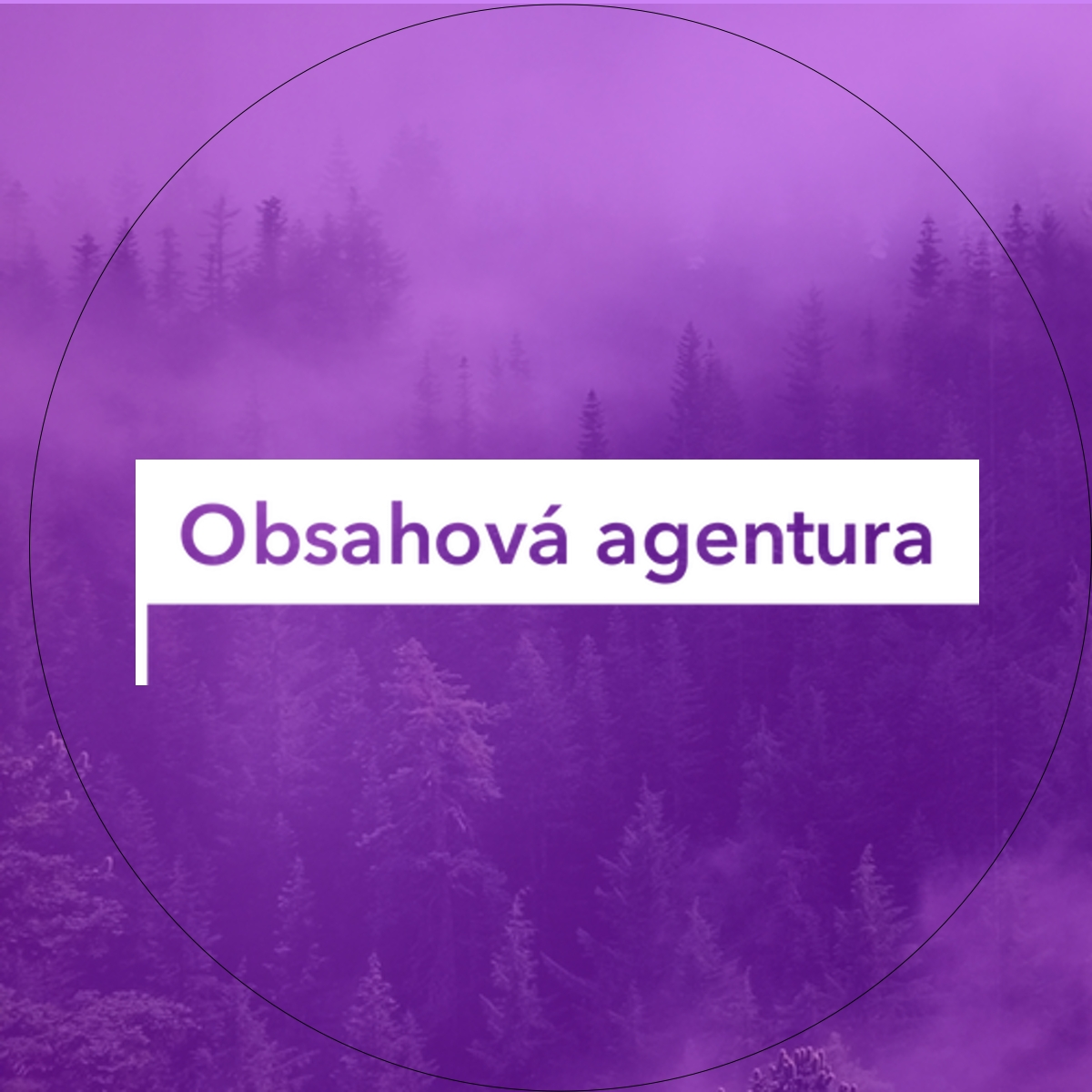 Obsahová agentura